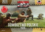 Polnische Infanterie Offiziere, 1939, 1:72