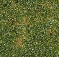 Ground Cover Material: Summer Grass
