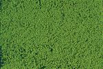 mikroflor Belaubungsvlies hellgrün, 28 x 14cm