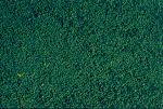 mikroflor, Foliation mat, pine green, 28 x 14cm