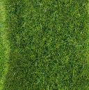 Gras fibre, Wild gras, meadowgreen, 5-6mm, 75g