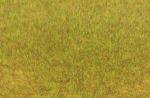 Grasfaser Wildgras, Herbst, 5-6mm, 75g