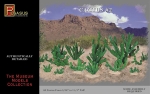 Kaktus Set 2