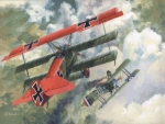 Fokker Dr.I, 1:72