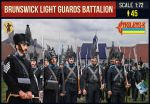 Brunswick Light Guards Battalion, 1:72
