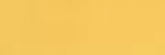 Signalgelb (Flat Yellow) (953)